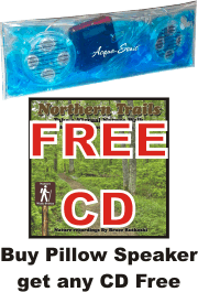 buy 1 pillow speaker get one free cd